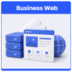 Business web hosting